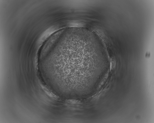 X0000092220339200709281048