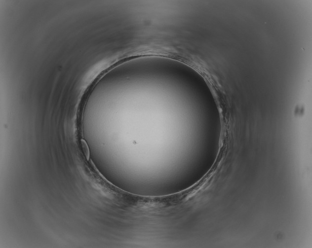 X0000092220340200709281048