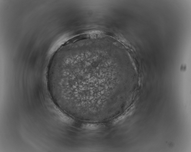 X0000092220341200709281048