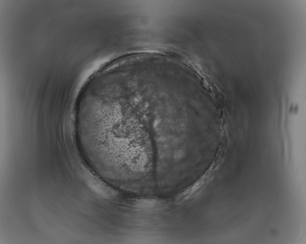 X0000092220342200709281048