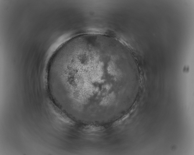 X0000092220343200709281048