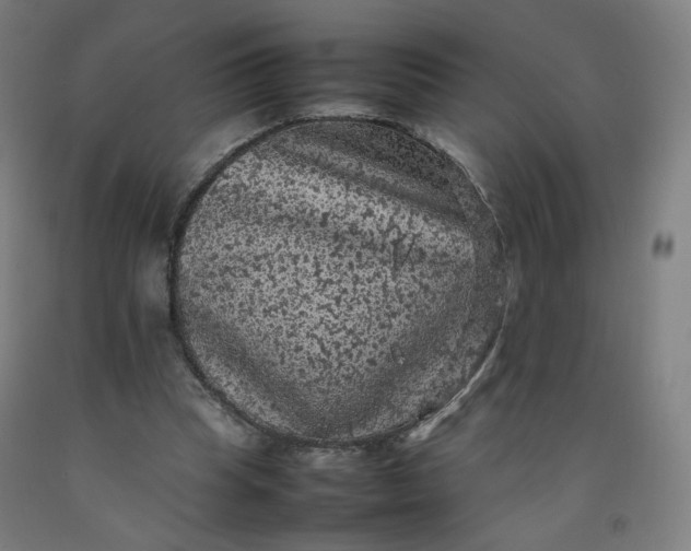 X0000092220345200709281048