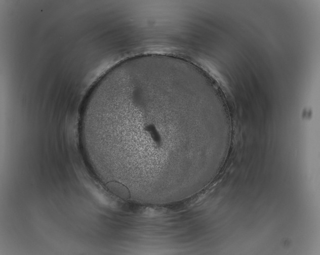 X0000092220346200709281048