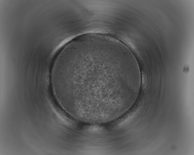 X0000092220348200709281048