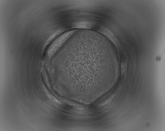 X0000092220349200709281048