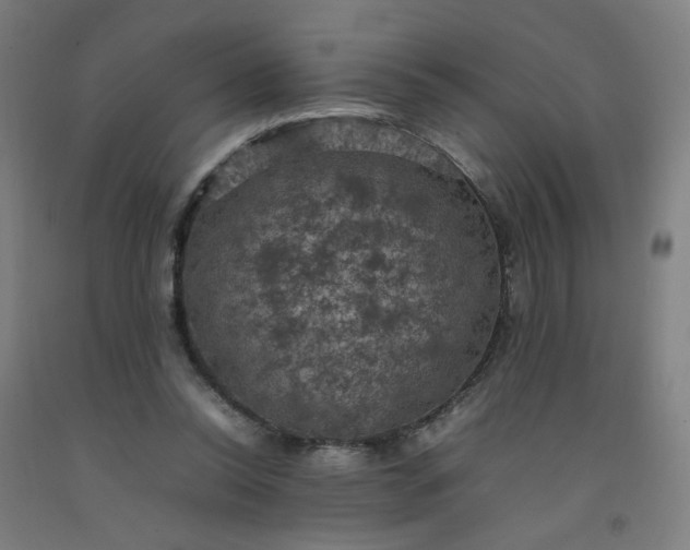 X0000092220350200709281048