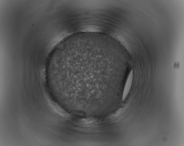 X0000092220351200709281048