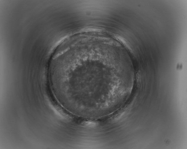 X0000092220352200709281048