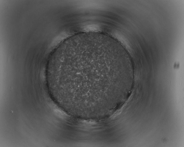 X0000092220353200709281048