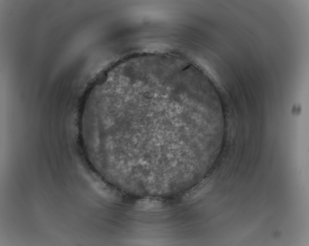 X0000092220354200709281048