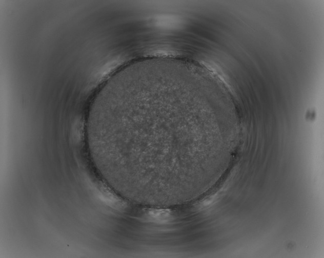 X0000092220355200709281048