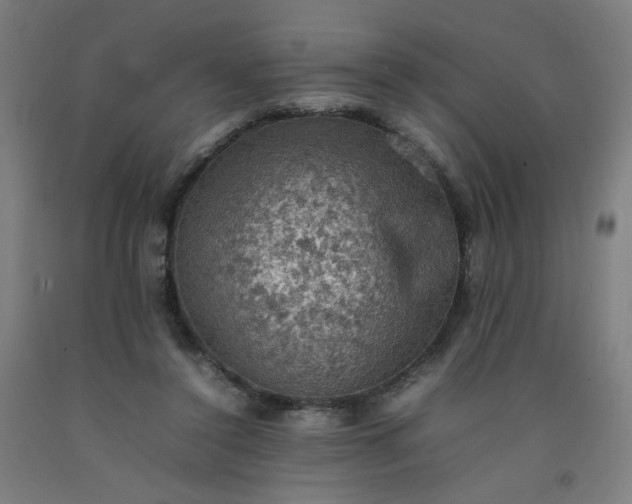 X0000092220356200709281048