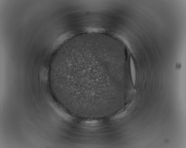 X0000092220357200709281048