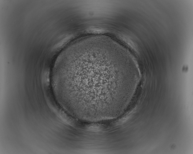 X0000092220358200709281048