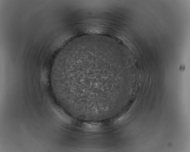 X0000092220359200709281048