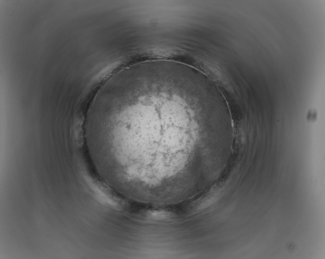 X0000092220360200709281048