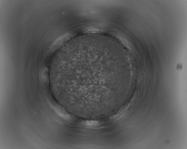 X0000092220361200709281048