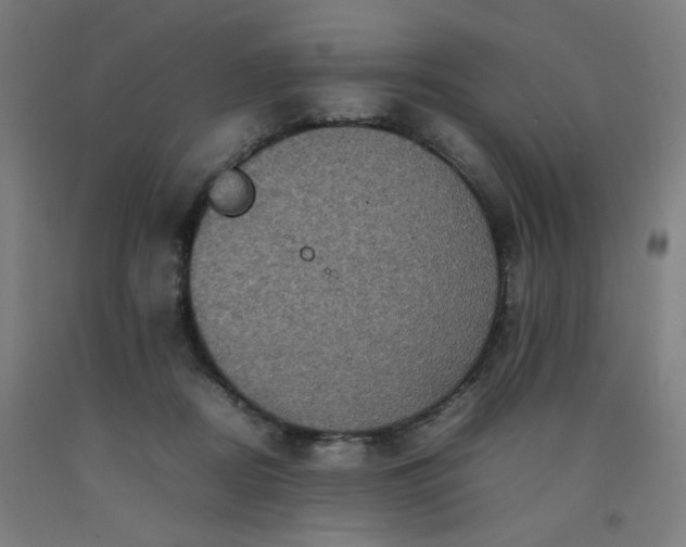 X0000092220362200709281048