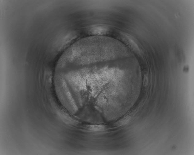 X0000092220363200709281048