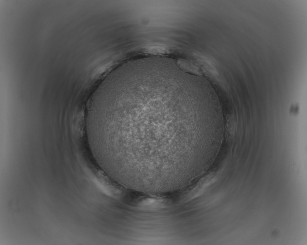 X0000092220364200709281048