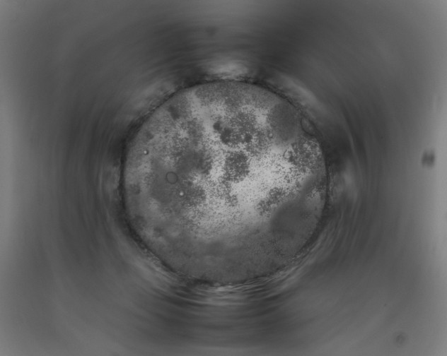 X0000092220365200709281048