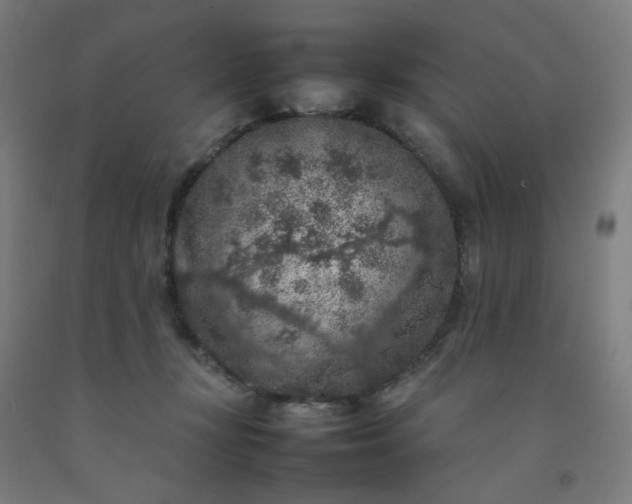 X0000092220367200709281048