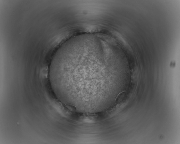 X0000092220368200709281048
