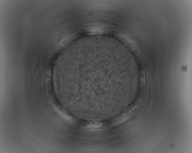 X0000092220369200709281048