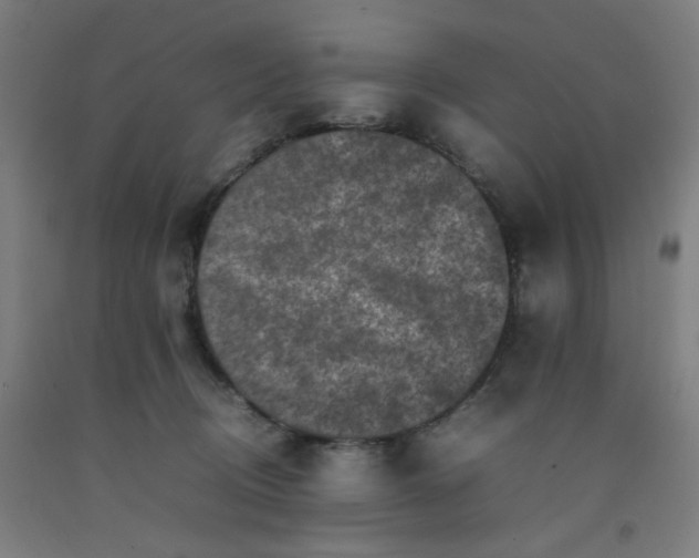 X0000092220370200709281048