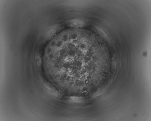 X0000092220371200709281048