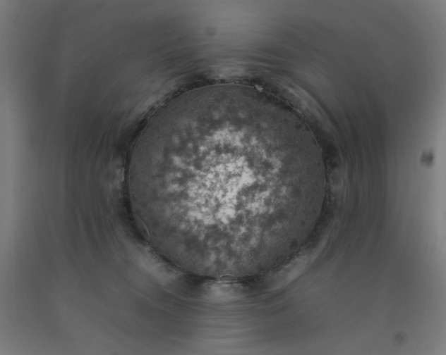 X0000092220372200709281048