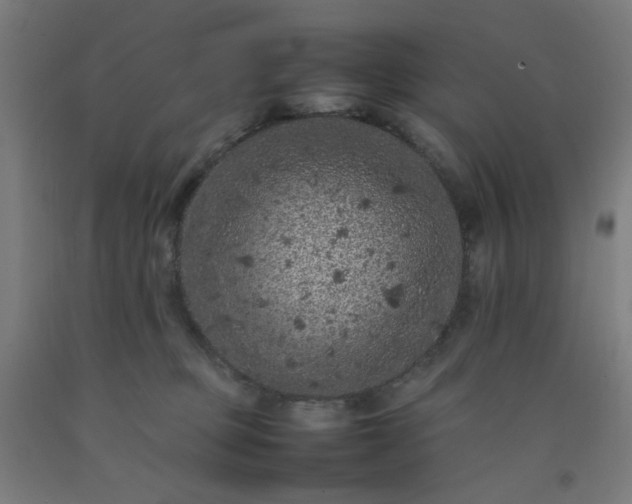 X0000092220373200709281048
