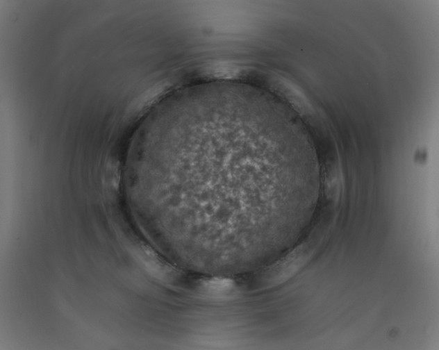 X0000092220374200709281048