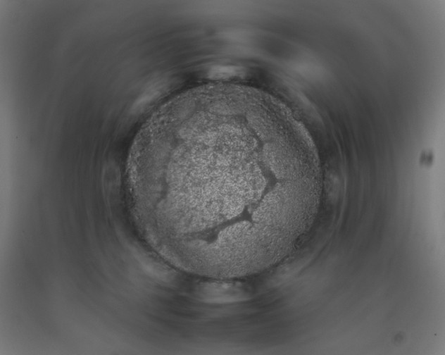 X0000092220375200709281048