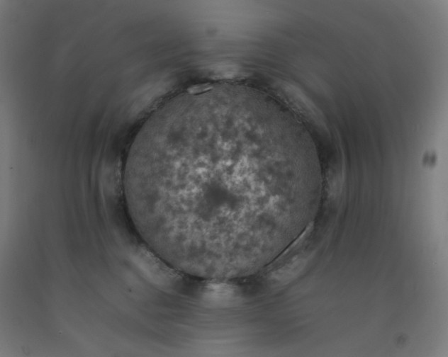X0000092220376200709281048