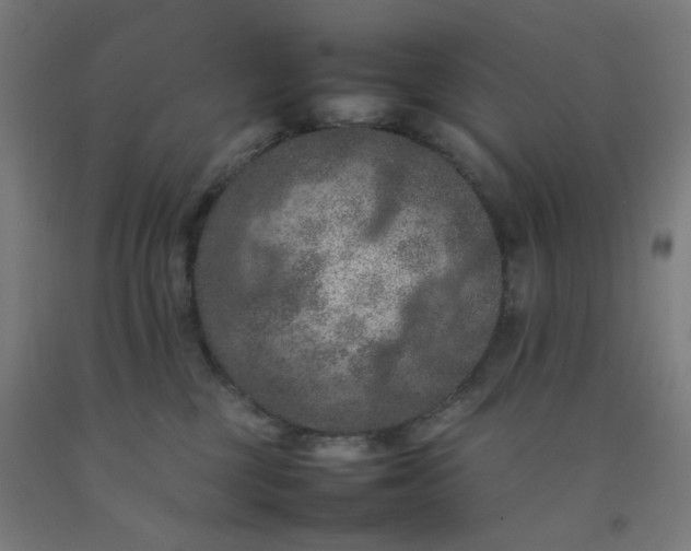 X0000092220377200709281048