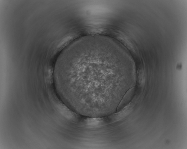 X0000092220378200709281048