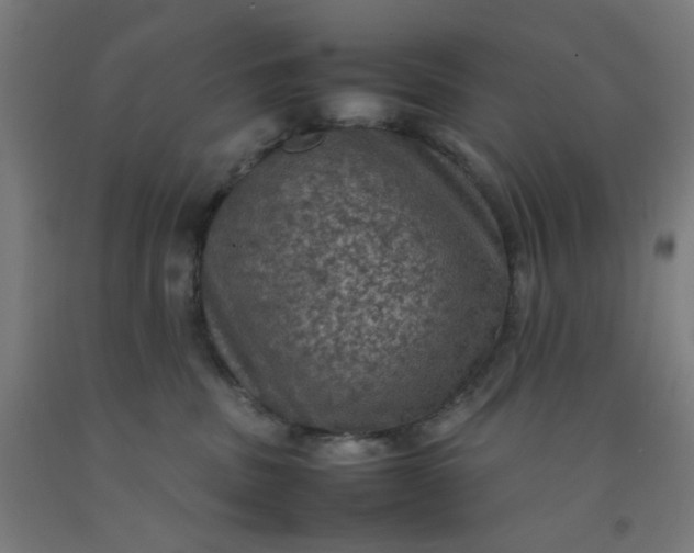 X0000092220379200709281048