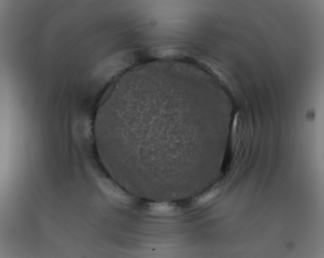 X0000092220380200709281048