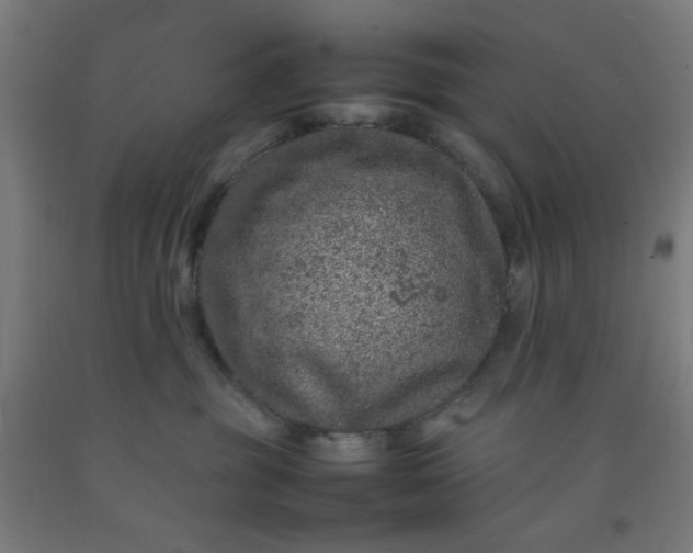 X0000092220381200709281048