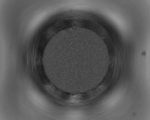 X0000092220382200709281048