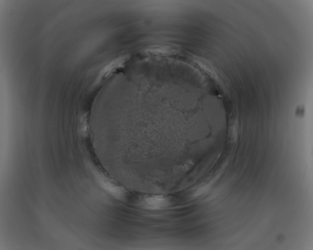 X0000092220383200709281048