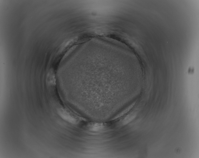 X0000092220384200709281048