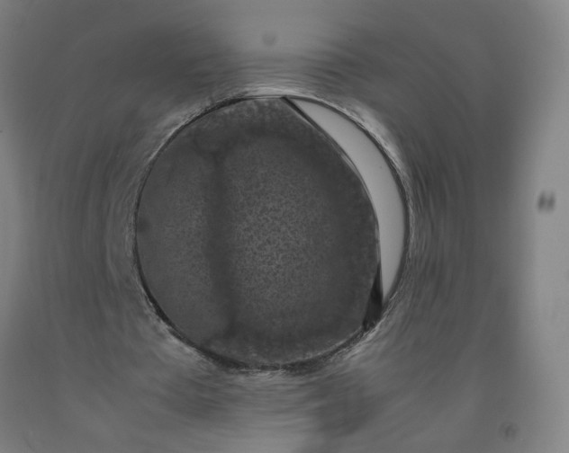 X0000092220385200709281048