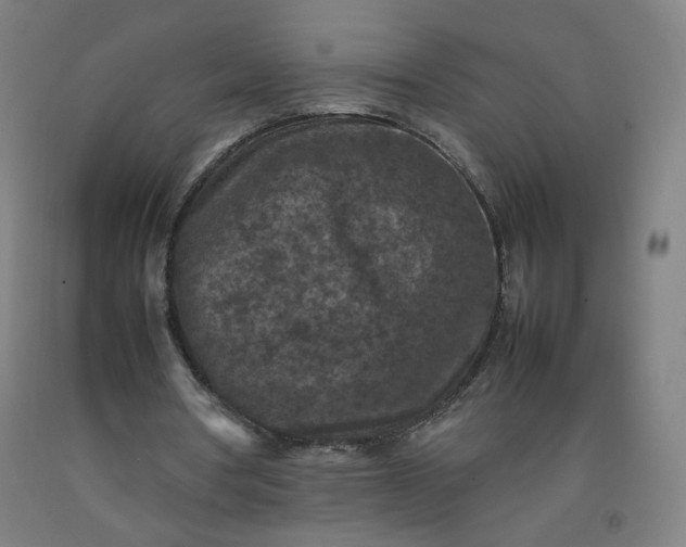 X0000092220386200709281048