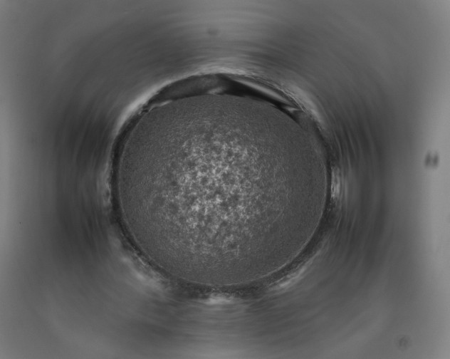 X0000092220388200709281047