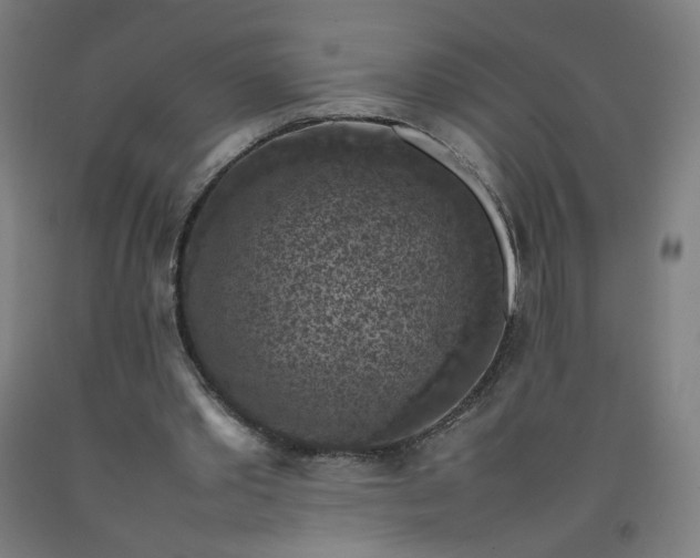 X0000092220389200709281047