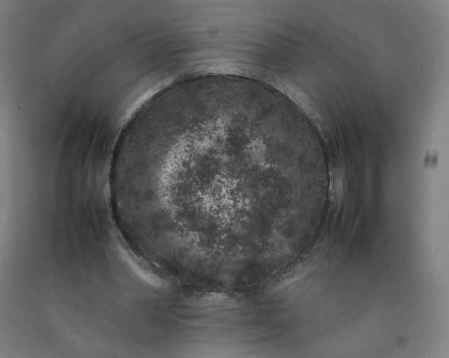 X0000092220390200709281047