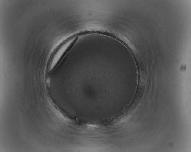 X0000092220391200709281047