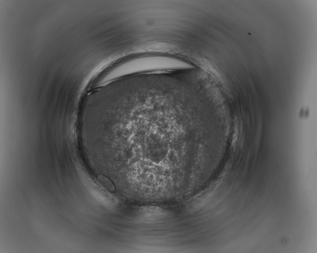 X0000092220392200709281047